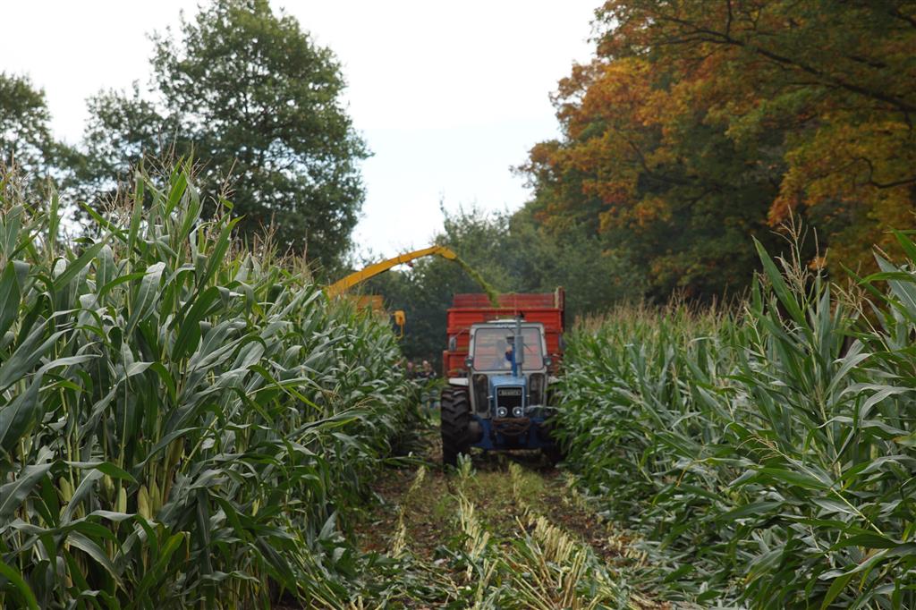 New Holland Ford County S In De Ma S County Super Six En County