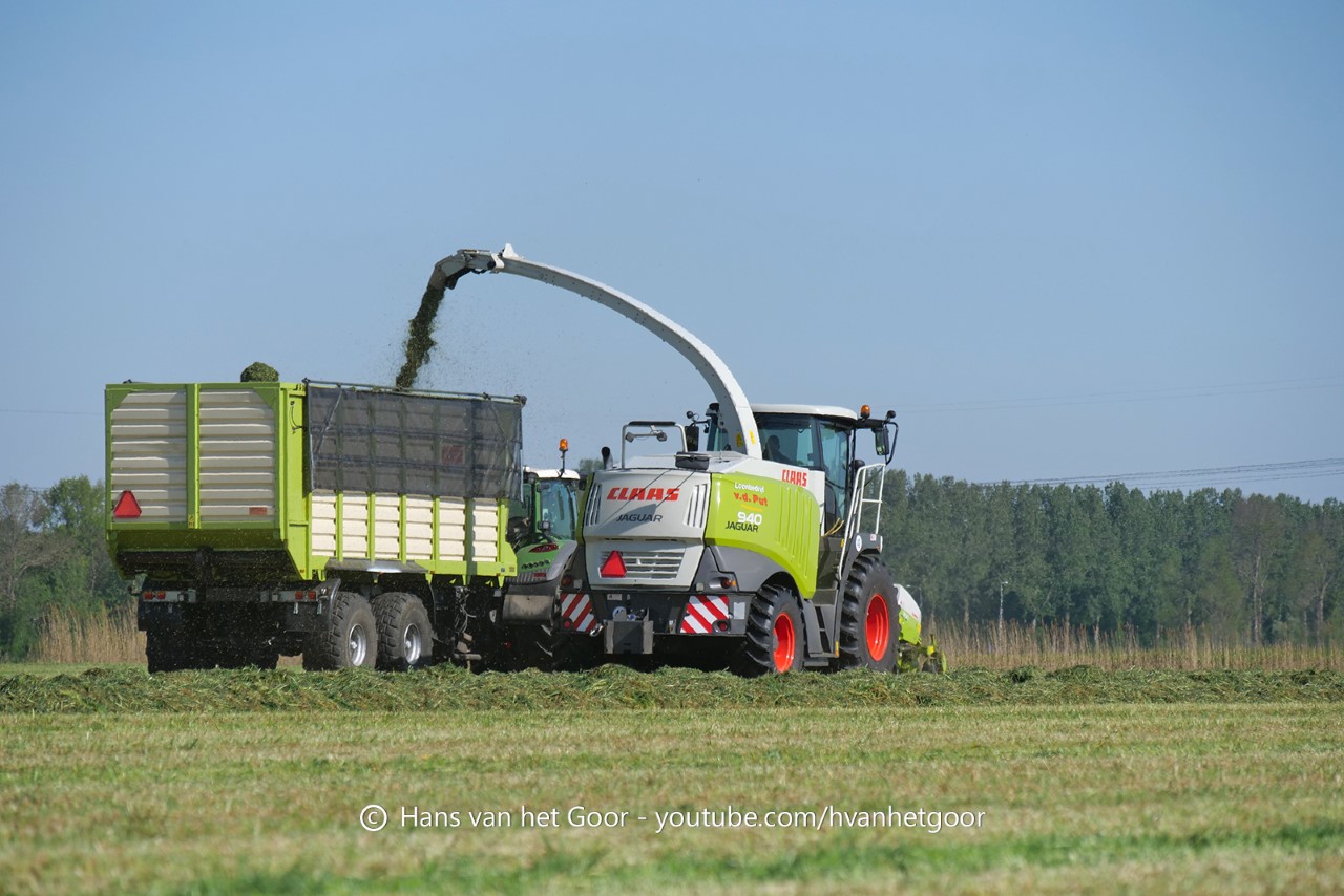 Claas Eerste Snede Gras Hakselen Bij De Haringhoeve Van Jan Bakker