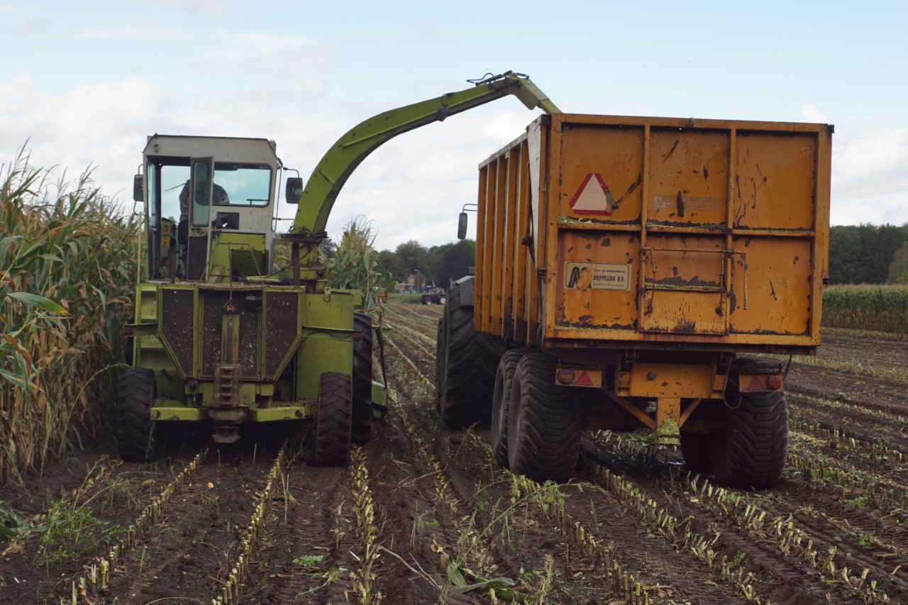 Oldtimer Hakselaars In De Mais Trekkerweb Nl