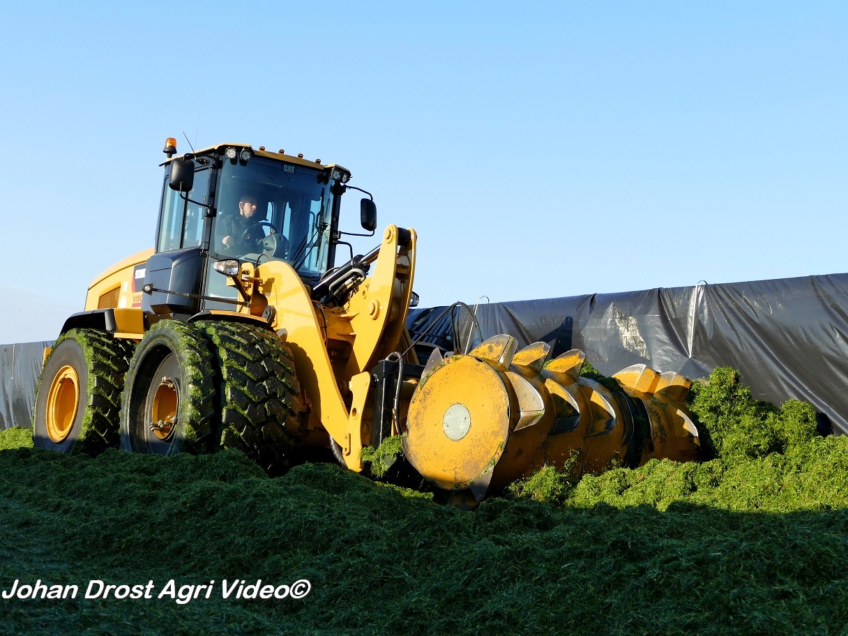 New Holland New Holland Fr Forage Cruiser Aan Het Gras Hakselen