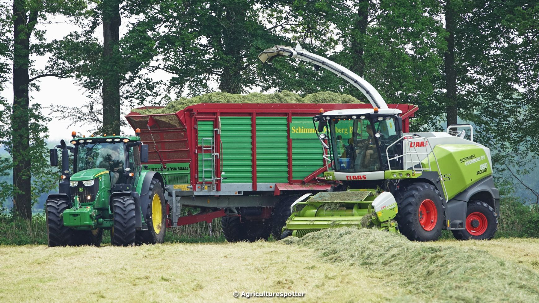 Claas Eerste Snede Gras Hakselen Met Een Claas Jaguar