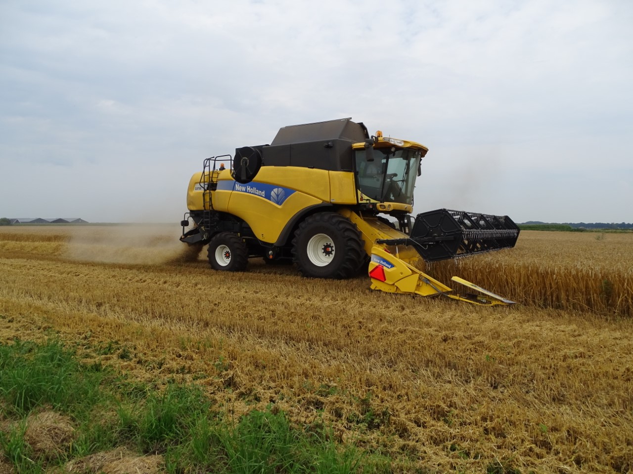 New Holland New Holland Cx In Zomertarwe Trekkerweb Nl