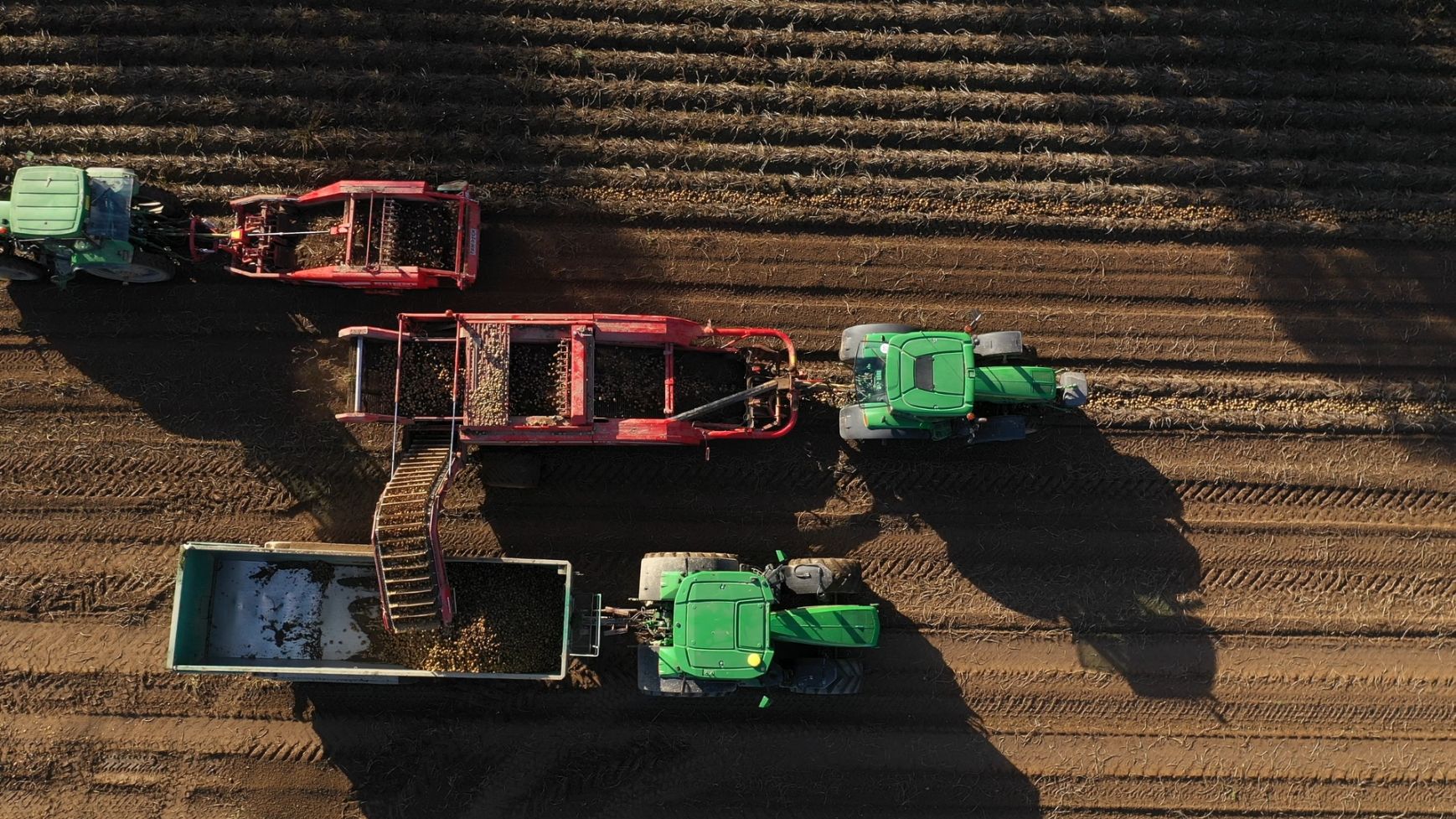 Grimme Video Grimme WR 200 En Grimme GT 170 In Actie Trekkerweb Nl