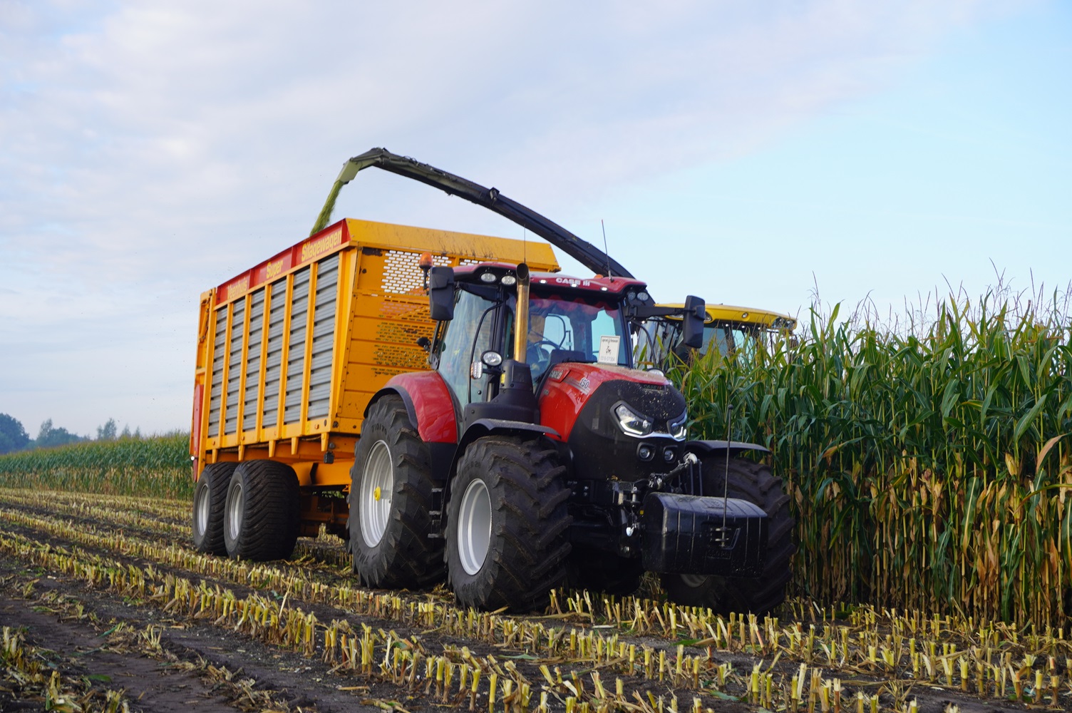 Maïs hakselen met New Holland FR600 Trekkerweb nl