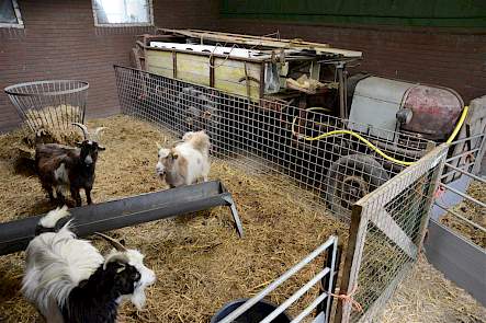 Deze Mebo met mestverspreider was de eerste die Schoorl kocht. Hij moet nog gerestaureerd worden