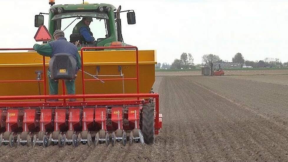 Miniknollen en vanggewas poten met een machine in een werkgang