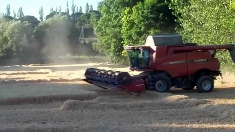 Case-IH Axial flow in de gerst Spanje - Mähdreschen - Trekkerweb