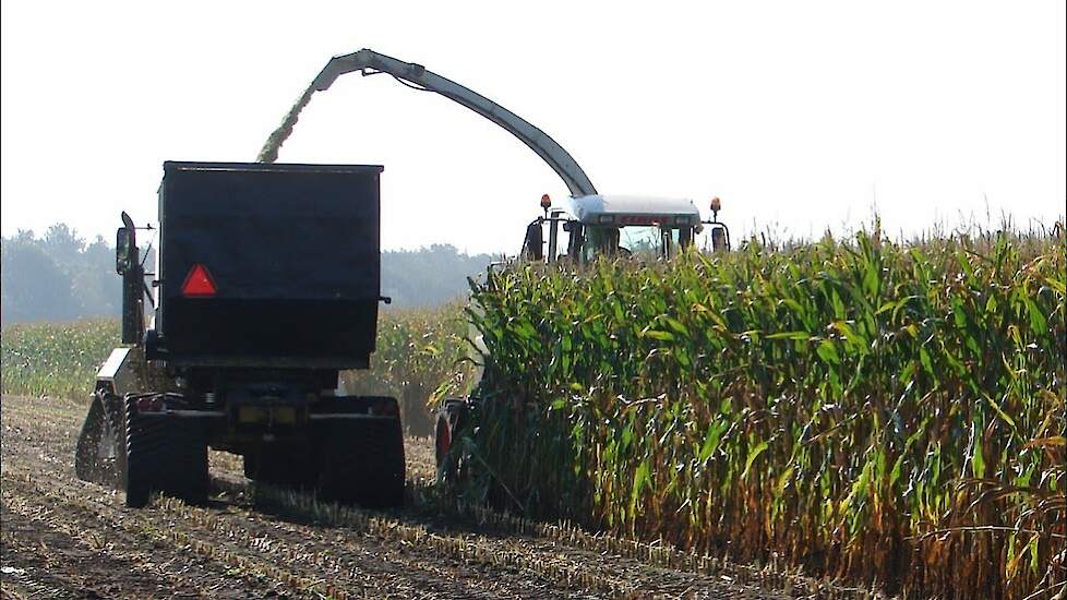 Maïs hakselen voor gevorderden HD Trekkerweb harvest corn