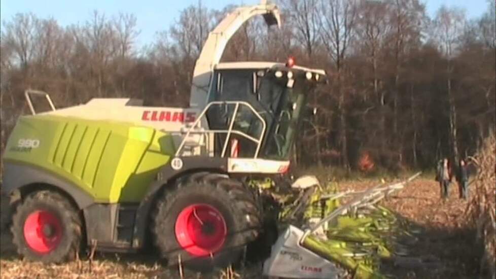 Claas Jaguar in de mais Trekkerweb