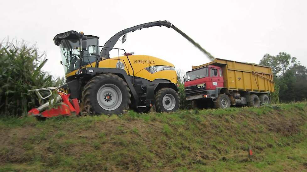 New Holland FR9060 - Trekkerweb.nl maize