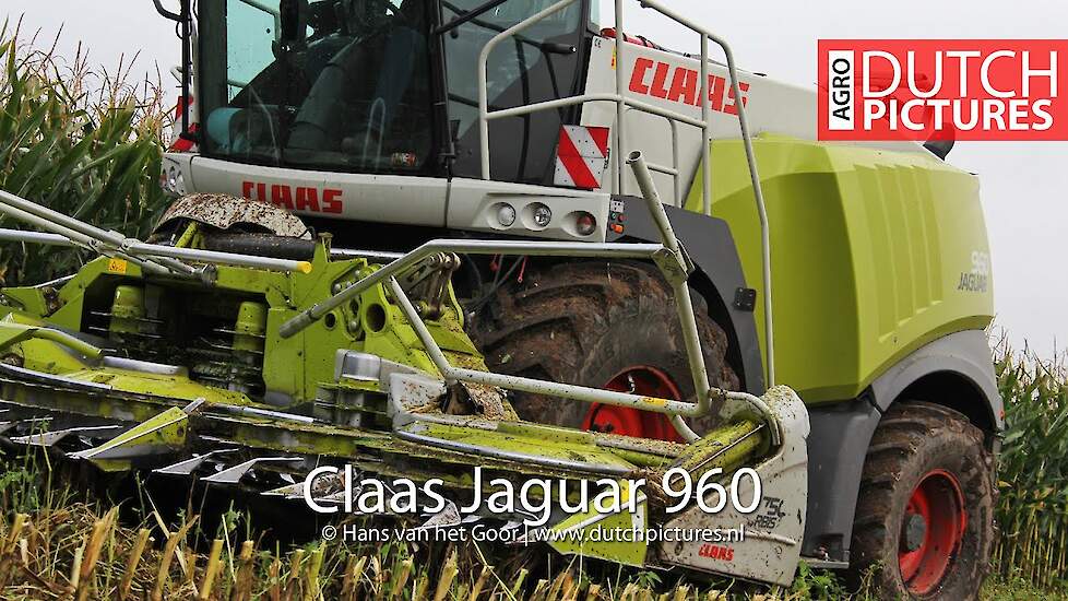 Claas Jaguar 960 met Orbis 750 - Dreierink bij Terwolde - Mais hakselen / Maize 2012