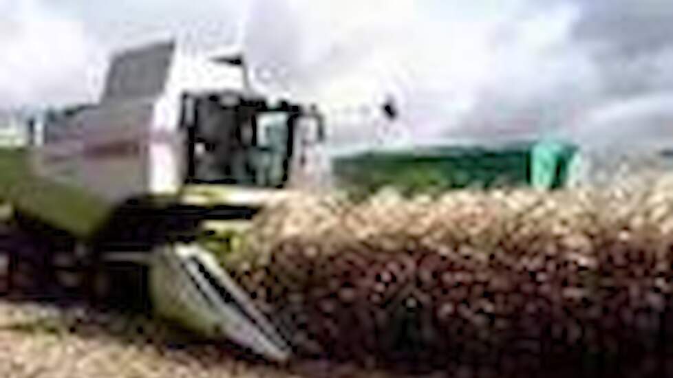 Claas combine`s in de mais Terratrac Trekkerweb.nl