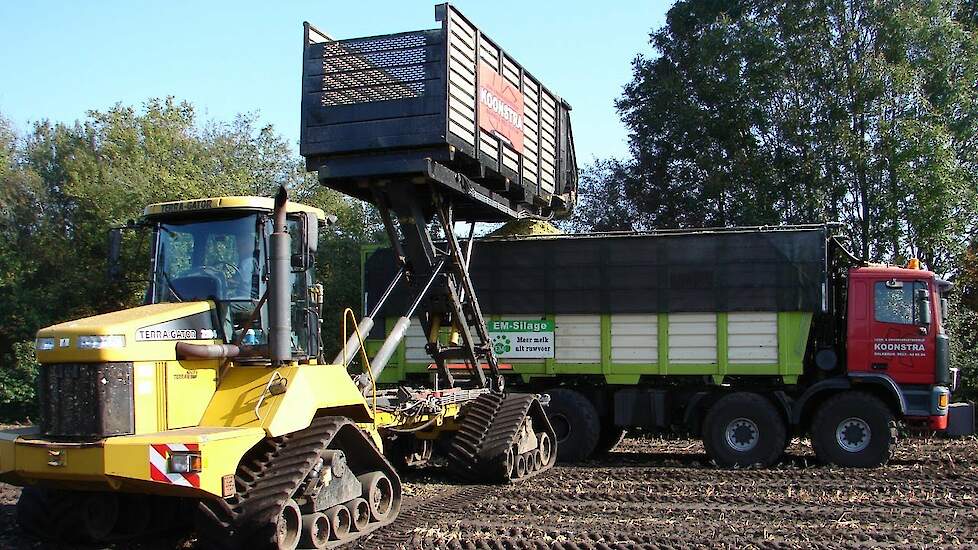 Maisoogst op rups tracks corn harvest Maishäckseln auf Raupe mit Terra Gator trekkerweb