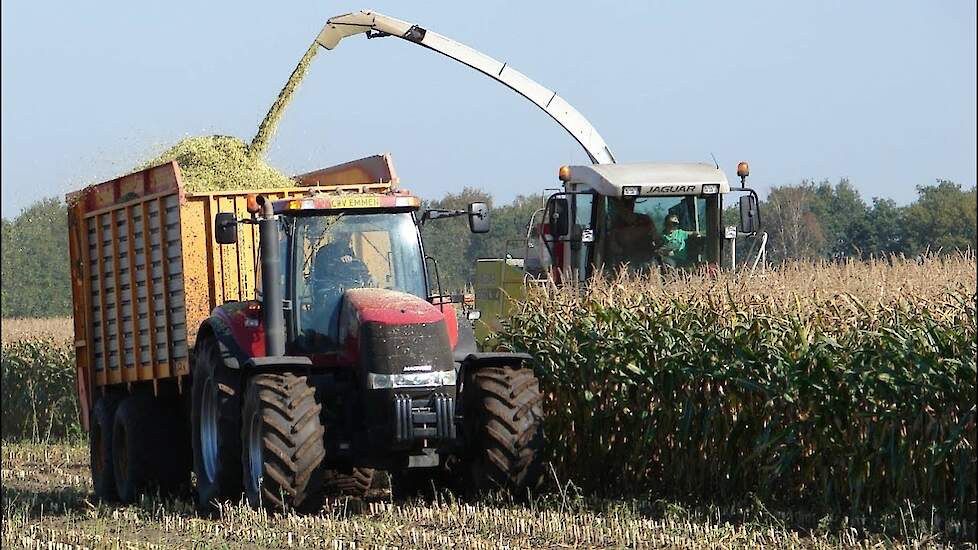 Mais oogst met Magnum en Claas Jaguar / Maishäckseln Trekkerweb