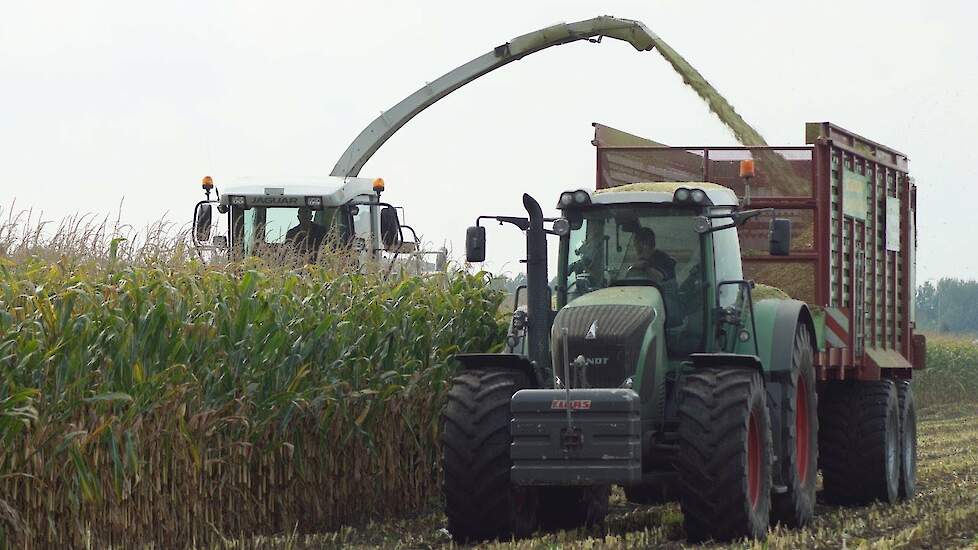 Claas Jaguar 870 maishakselen op dubbellucht - Maishäckseln mit Doppelbereifung - corn harvest 2012