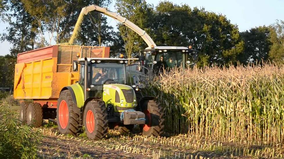 Maishakselen 2012 met Claas Jaguar 940 - Trekkerweb.nl - Maishäckseln - corn harvest