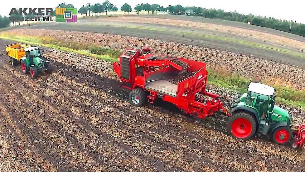 Harvesting potatoes amazing view