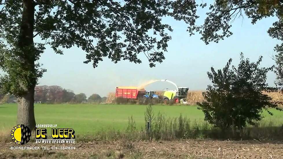 MKS hakselen met Claas Jaguar 940 - Trekkerweb.nl