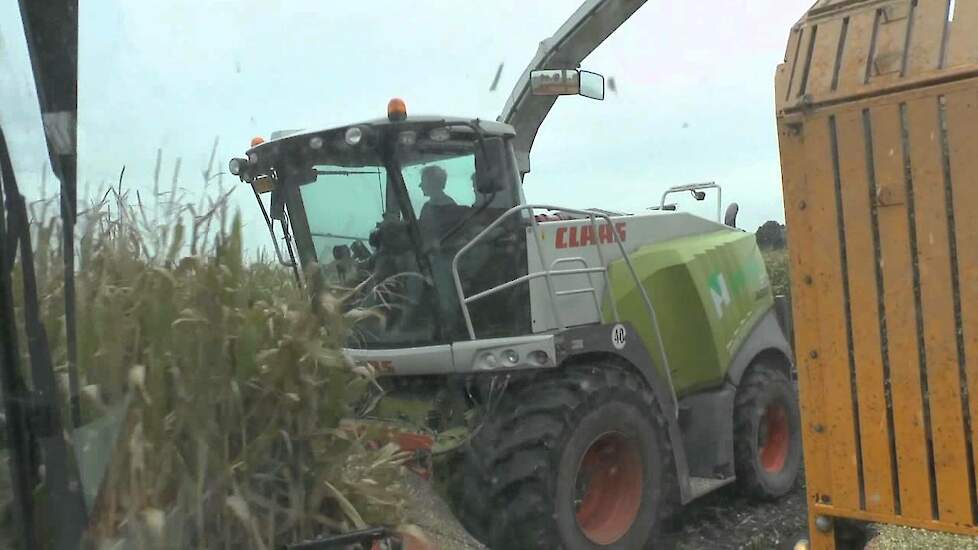 Claas Jaguar van Hal in de mais - mais hakselen - Maishäckseln - corn harvest