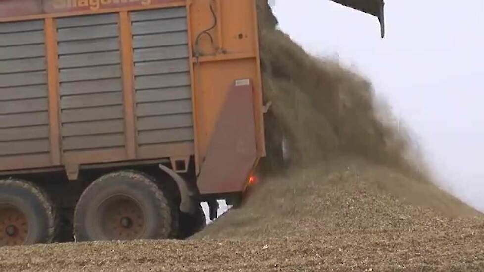 150 hectare mais in een silo  150 Hektar Mais in ein Silo - Reportage - ensilage 2012 Trekkerweb.nl