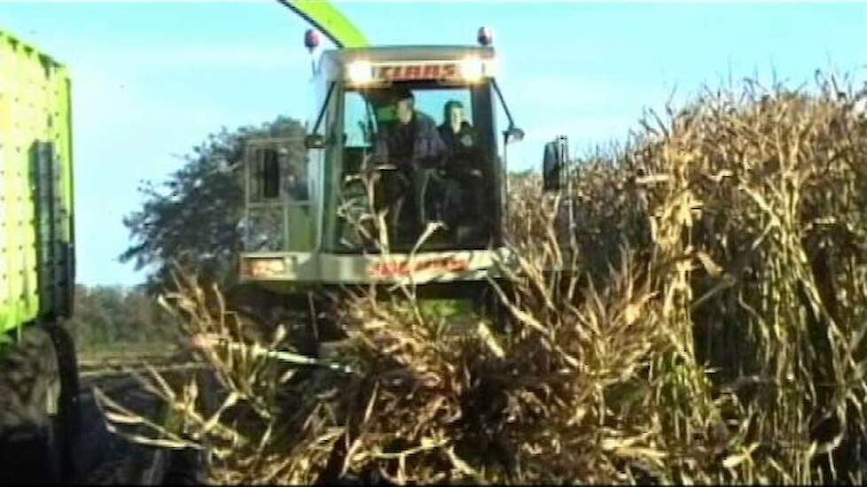 Van Omme uit Wekerom aan het maishakselen 2012