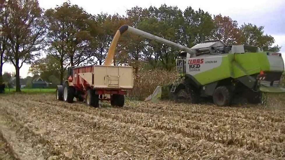 Dorsen met Claas Lexion 540 combine - Trekkerweb.nl