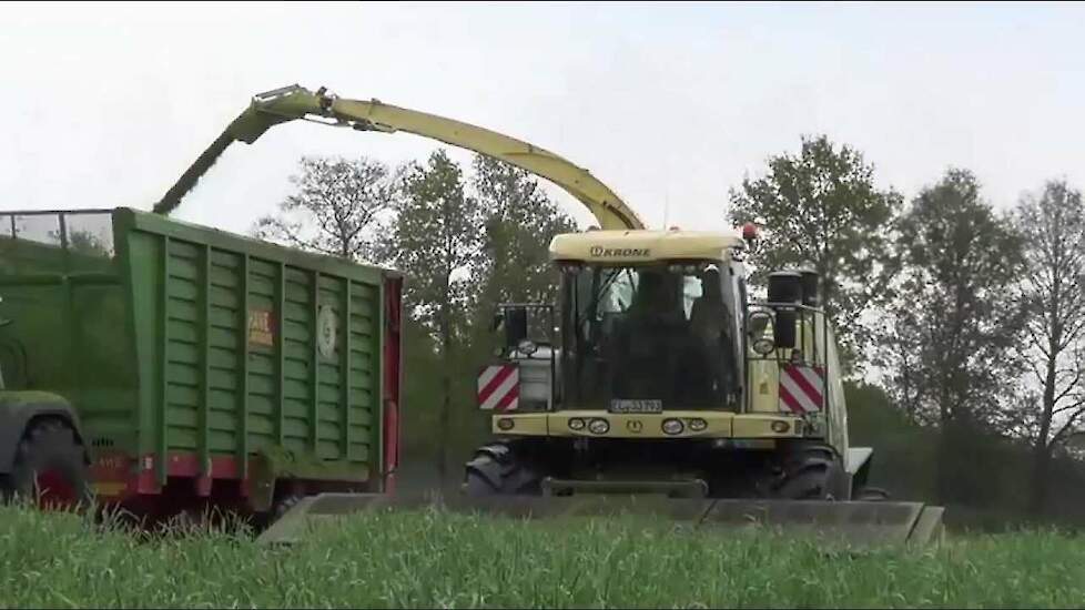 www.jtnfotografie.nl - Bladrogge (Grünroggen) hakselen met Janssen Rhede (Ens) (D)