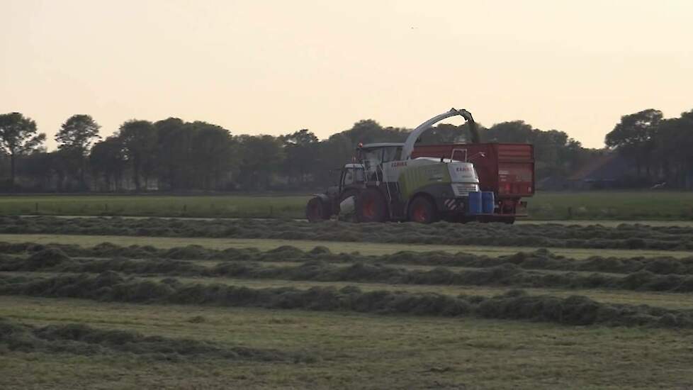 Loonbedrijf Fiers in het gras met Claas 950 - Trekkerweb