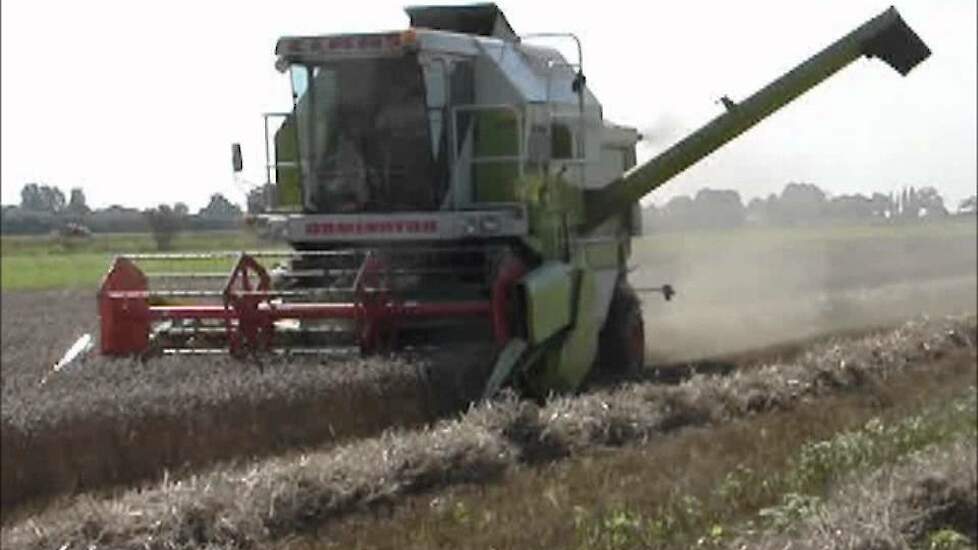 Claas Dominator 88SL in de zomertarwe Trekkerweb