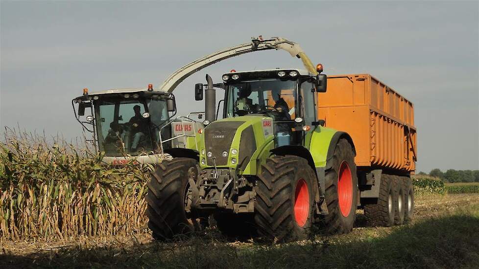 CLAAS › Loonbedrijf de Regt bv uit Etten-Leur mais aan het hakselen