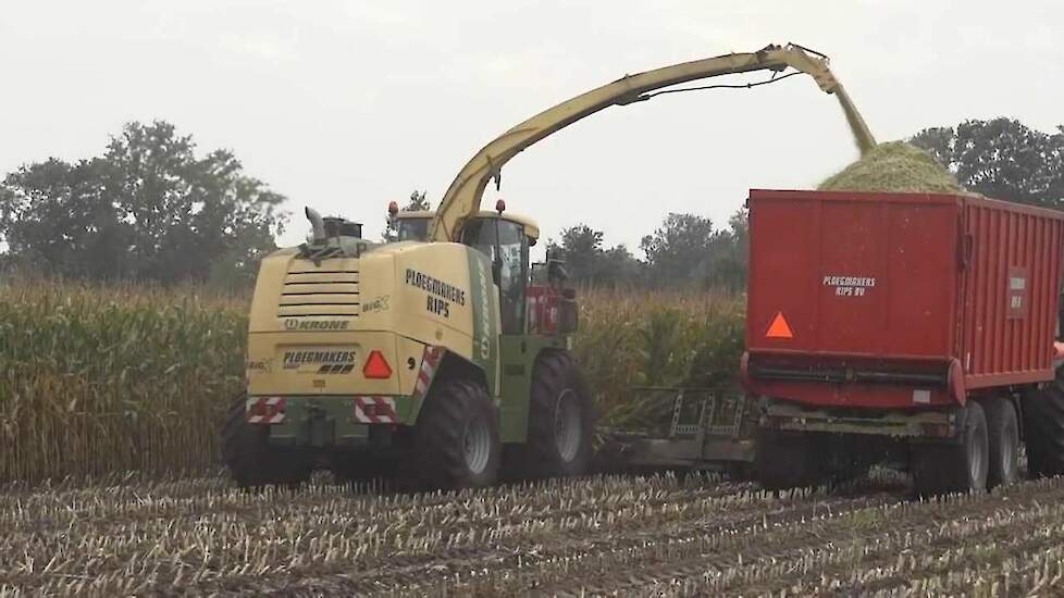 Ploegmakers met BiG X 700 aan het maishakselen Trekkerweb