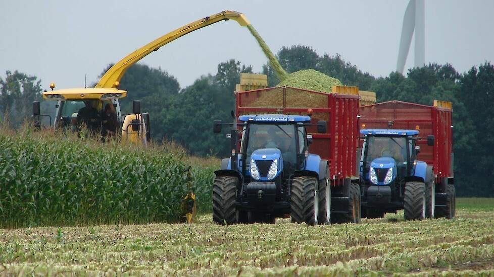 New Holland FR 9060 Trekkerweb  maishakselen Maishäckseln  corn harvest maisernte