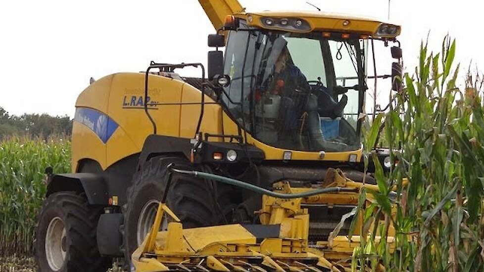 Mais hakselen | New Holland FR9050 | Fendt 820 | L. Rap BV | Harskamp | Netherlands | 2013.