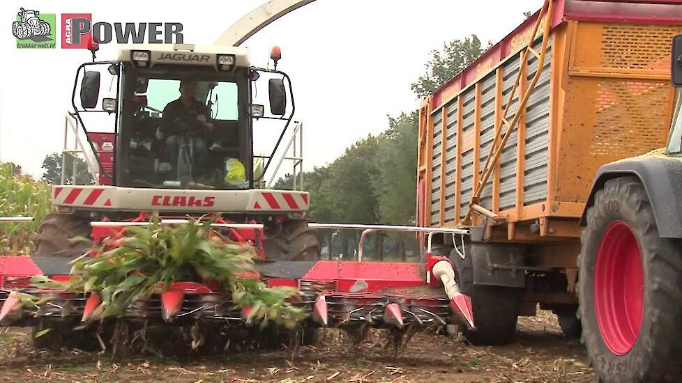 Mais hakselen met Westerveld / mais ernte / harvesting corn