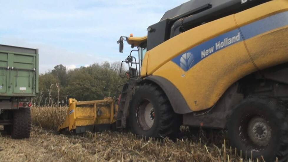 New Holland CX 8050 van Beulink in de korrelmais ccm Trekkerweb