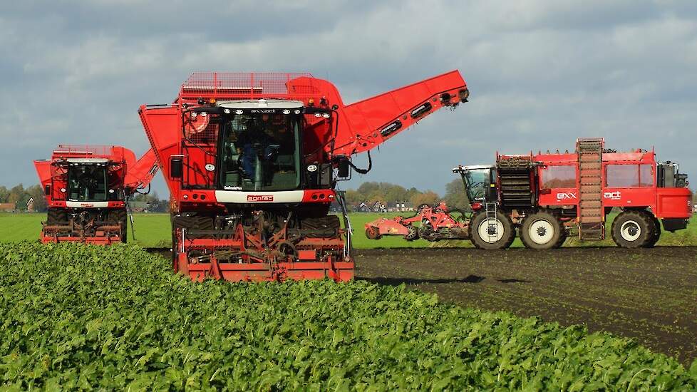 18 rijen suikerbieten rooien met Agrifac Exxact Trekkerweb