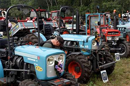 Een collectie smalspoor Eichers, waar die rode Massey-Ferguson wel degelijk ook bijhoort. Kijk maar naar de motor. Dat is een loepzuivere Eichermotor.