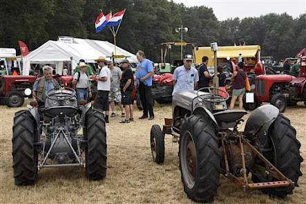 We zullen er niet ver naast zitten als we veronderstellen dat deze twee grijze Fergusons net zo oud zijn als de twee heren die er naar staan te kijken, dus ergens tussen de zestig en zeventig jaar.