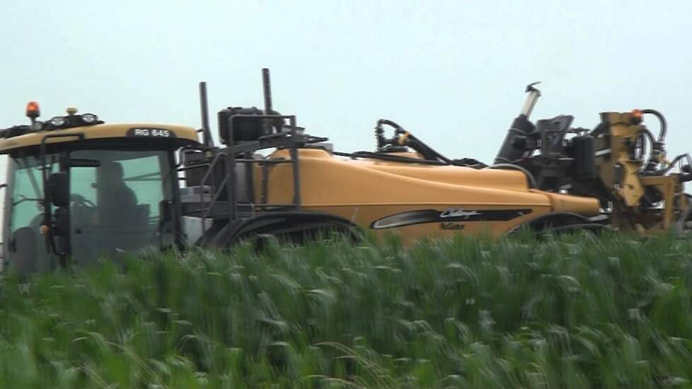 Challenger Rogator 645 Spuitdemonstratie in mais voor Retengo Plus bij Gebr Eugelink Trekkerweb