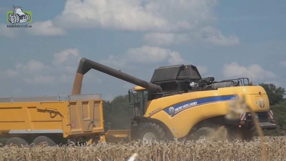 New Holland combines in actie aan de Poolse grens Trekkerweb