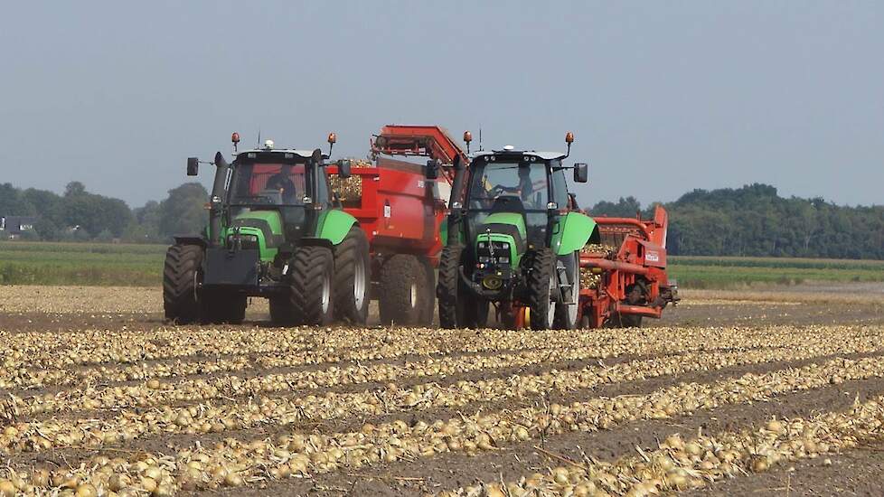 Uien laden met Deutz Fahr TTV`s Grimme wagen rooier en Beco kippers Trekkerweb