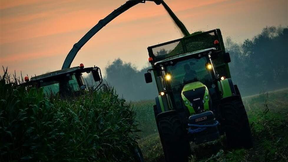 Timmermans Smilde in de maïs met Claas Jaguar 940 Trekkerweb