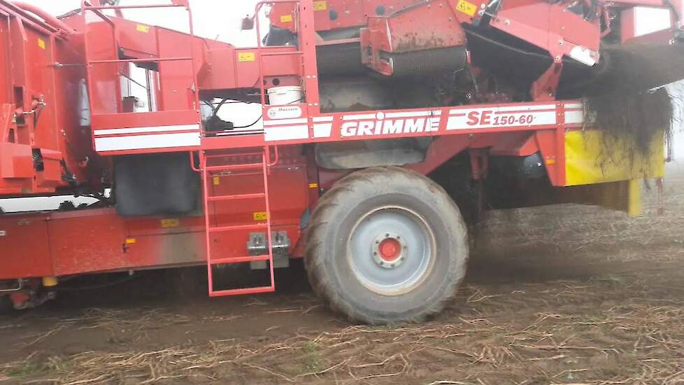 Aardappelen rooien met Case IH Puma 180 CVX en een Grimme SE 150-60 Trekkerweb