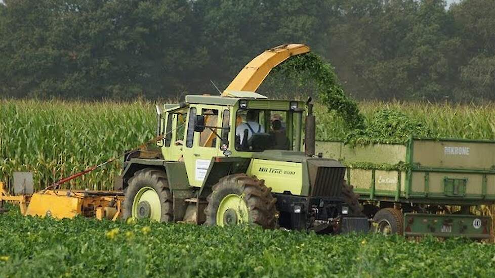 MB-Trac 1500 met Kleine bietenrooier voederbieten rooien en blad verzamelen Trekkerweb