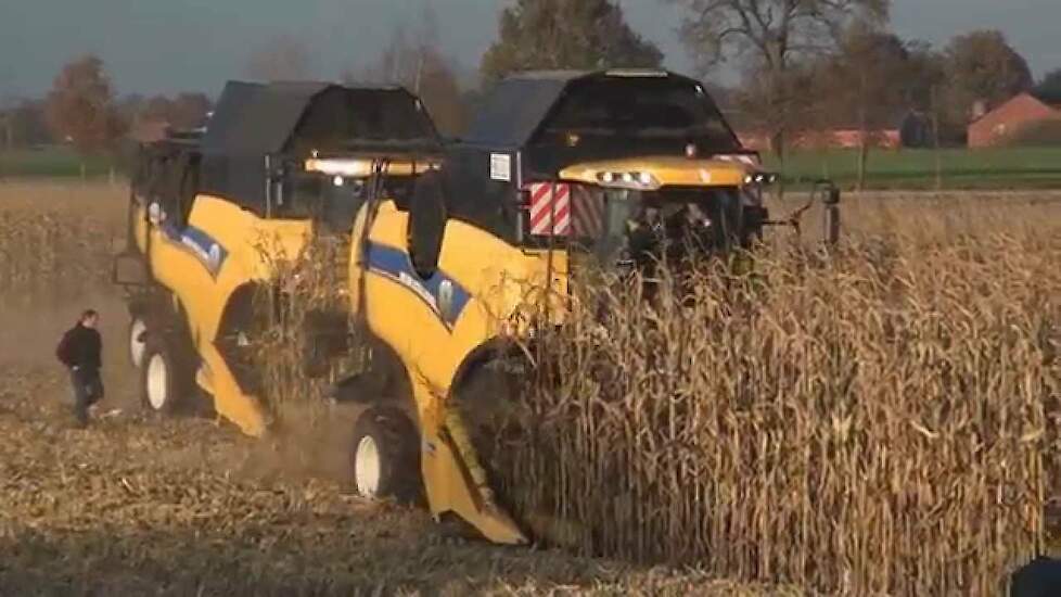 Zeer geslaagde New Holland CX/CR maïs-demonstratie in Hoogstraten in Belgie -Trekkerweb cornharvest