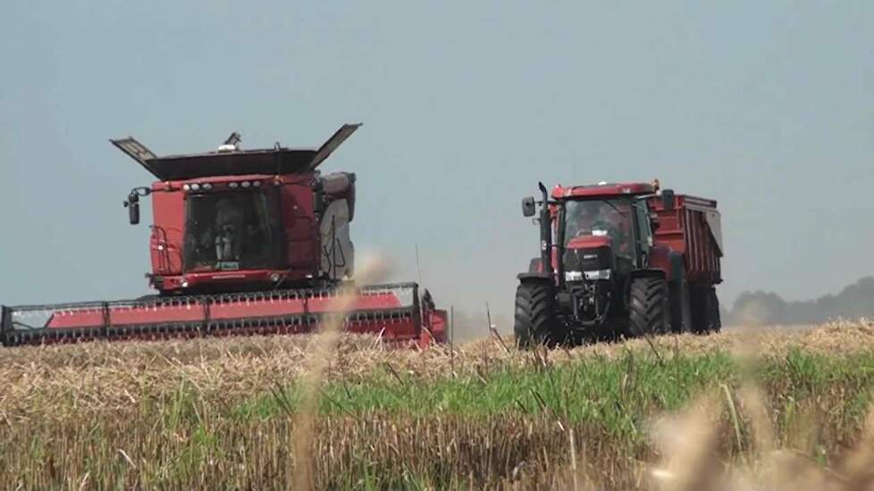 Case-IH 8120 AFS Axial Flow - Trekkerweb.nl