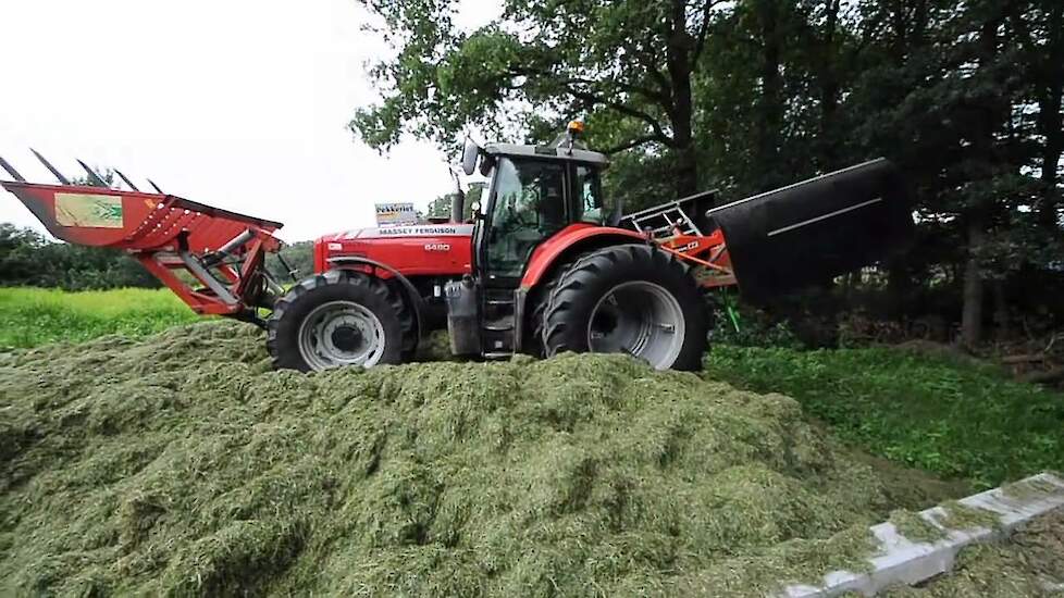 Pekkeriet Dalfsen in het gras - Trekkerweb.nl