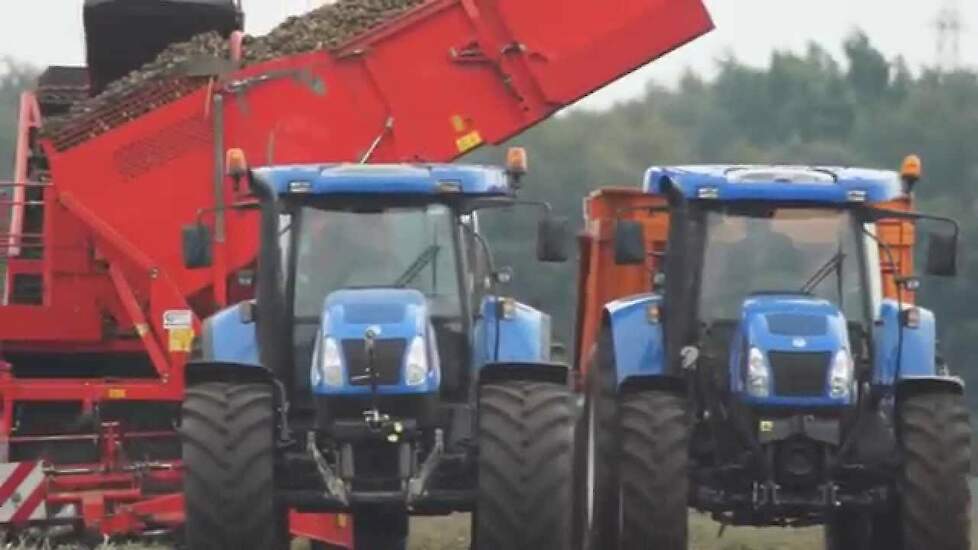 Zetmeel oogst in volle gang met Grimme SE 150-60 Trekkerweb New Holland TVT