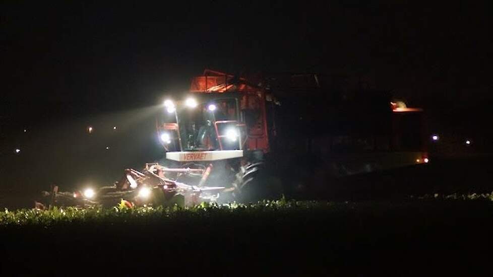 De laatste suikerbieten worden gerooid Trekkerweb sugarbeet harvest gopro onboard