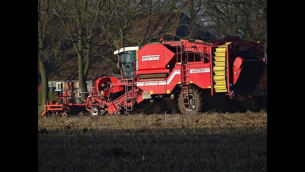 Schorseneren rooien met Grimme Varitron 270 in Ter Apel Trekkerweb